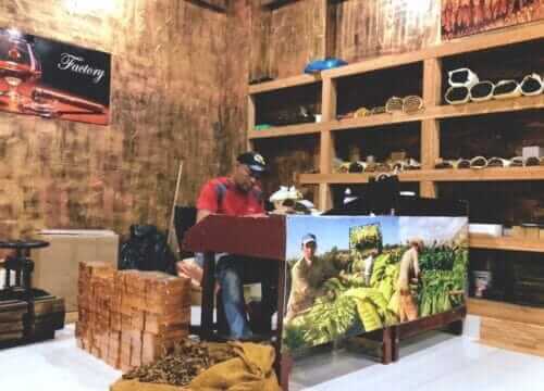 Unforgettable Tours & Transfers | Dominican Dream Vacation - Discover the Dominican Republic 2025