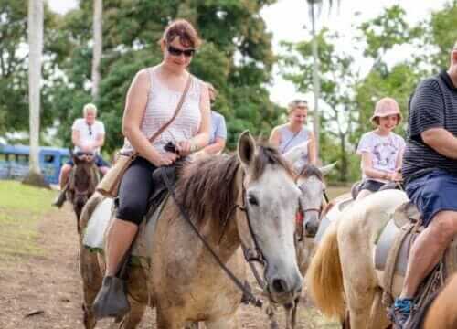 Unforgettable Tours & Transfers | Dominican Dream Vacation - Discover the Dominican Republic 2025