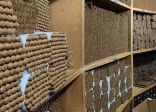 Unforgettable Tours & Transfers | Dominican Dream Vacation - Discover the Dominican Republic 2025