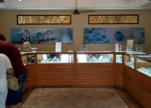 Unforgettable Tours & Transfers | Dominican Dream Vacation - Discover the Dominican Republic 2025