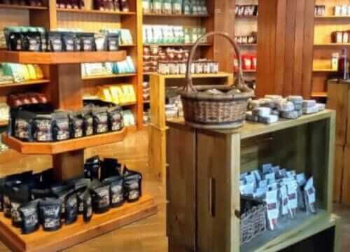 Unforgettable Tours & Transfers | Dominican Dream Vacation - Discover the Dominican Republic 2025