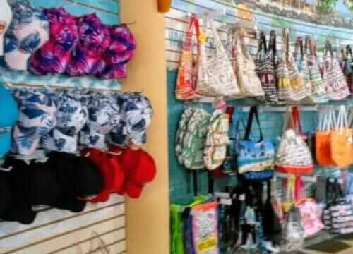 Unforgettable Tours & Transfers | Dominican Dream Vacation - Discover the Dominican Republic 2025