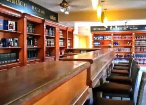 Unforgettable Tours & Transfers | Dominican Dream Vacation - Discover the Dominican Republic 2025