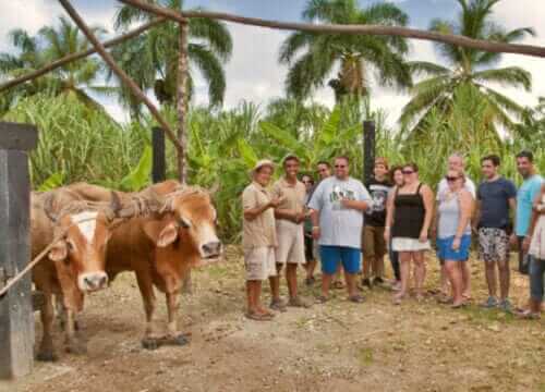 Unforgettable Tours & Transfers | Dominican Dream Vacation - Discover the Dominican Republic 2025