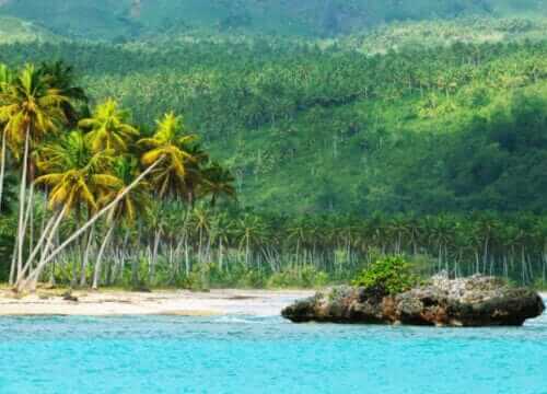 Unforgettable Tours & Transfers | Dominican Dream Vacation - Discover the Dominican Republic 2025