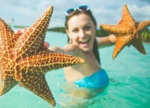 Unforgettable Tours & Transfers | Dominican Dream Vacation - Discover the Dominican Republic 2025