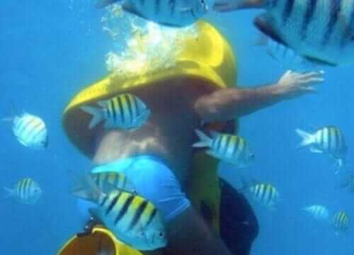 Unforgettable Tours & Transfers | Dominican Dream Vacation - Discover the Dominican Republic 2025
