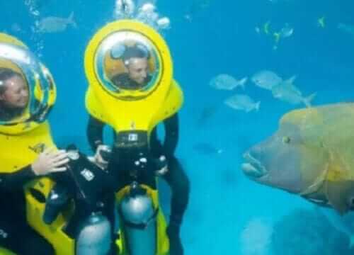 Unforgettable Tours & Transfers | Dominican Dream Vacation - Discover the Dominican Republic 2025