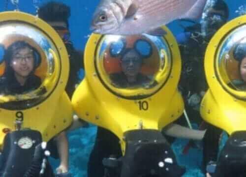 Unforgettable Tours & Transfers | Dominican Dream Vacation - Discover the Dominican Republic 2025