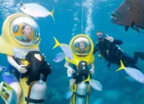 Unforgettable Tours & Transfers | Dominican Dream Vacation - Discover the Dominican Republic 2025