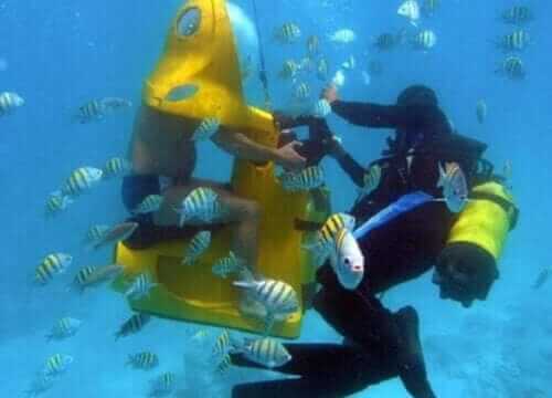 Unforgettable Tours & Transfers | Dominican Dream Vacation - Discover the Dominican Republic 2025