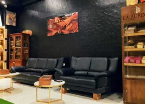 Unforgettable Tours & Transfers | Dominican Dream Vacation - Discover the Dominican Republic 2025