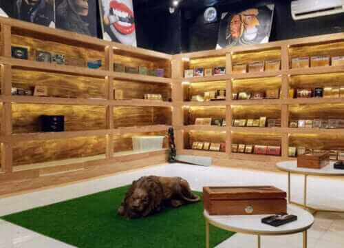 Unforgettable Tours & Transfers | Dominican Dream Vacation - Discover the Dominican Republic 2025