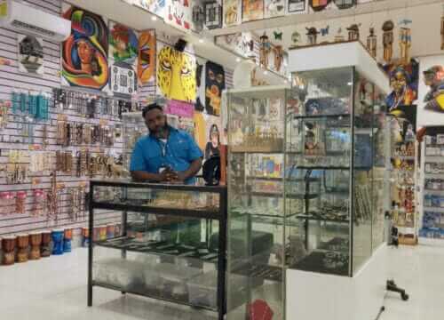 Unforgettable Tours & Transfers | Dominican Dream Vacation - Discover the Dominican Republic 2025