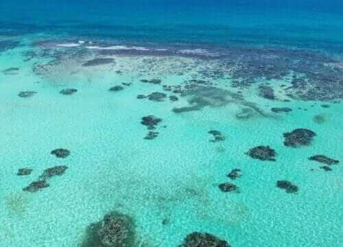 Unforgettable Tours & Transfers | Dominican Dream Vacation - Discover the Dominican Republic 2025