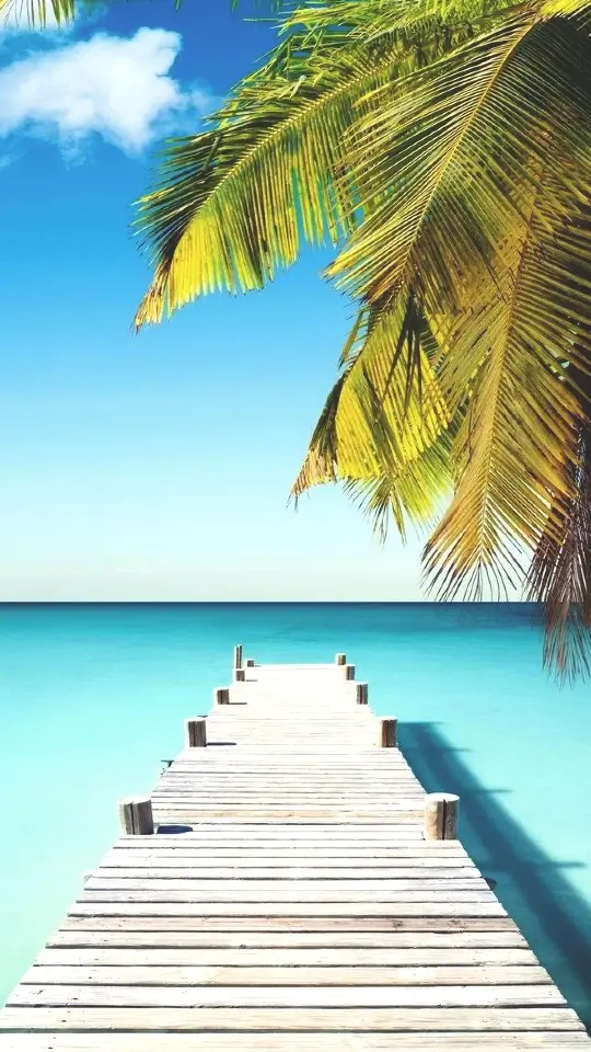 Unforgettable Tours & Transfers | Dominican Dream Vacation - Discover the Dominican Republic 2025