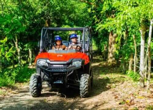 Triple Jungle Adventure