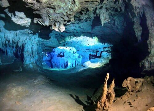 Advanced Cave Diving - Two Unique Dive Spots at Catalina Island | cave diving in Bayahibe, cave diving in the Dominican Republic, advanced cave diving, Padre Nuestro Bayahibe, Cueva del Chicho, Caribbean cave diving, technical cave diving, Bayahibe diving tours, underwater caves Dominican Republic, dive sites Bayahibe.