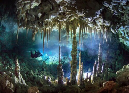 Advanced Cave Diving - Two Unique Dive Spots at Catalina Island | cave diving in Bayahibe, cave diving in the Dominican Republic, advanced cave diving, Padre Nuestro Bayahibe, Cueva del Chicho, Caribbean cave diving, technical cave diving, Bayahibe diving tours, underwater caves Dominican Republic, dive sites Bayahibe.